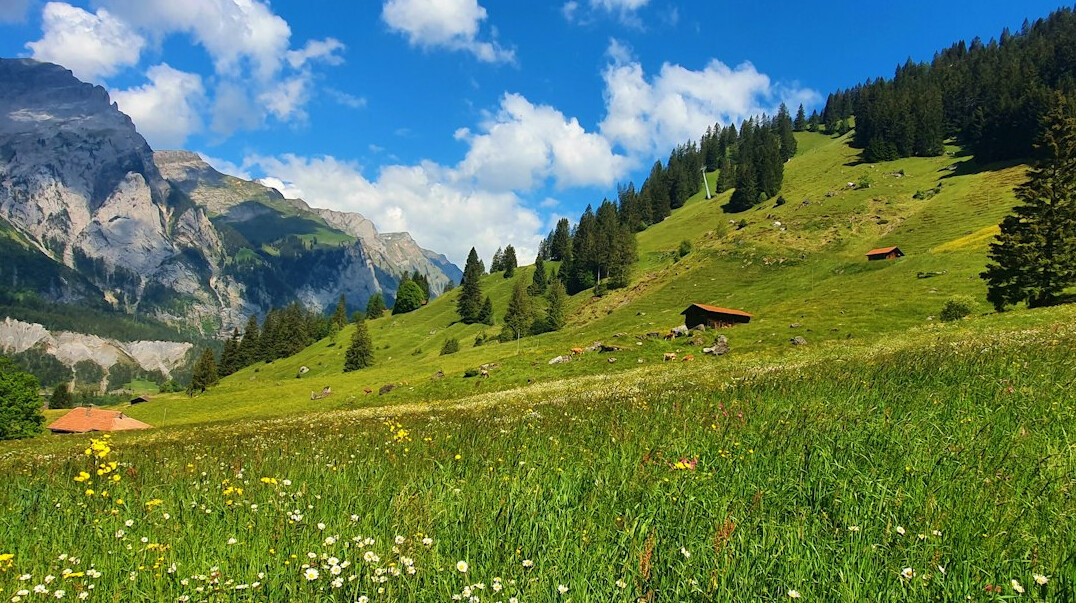swiss mountains landscape
