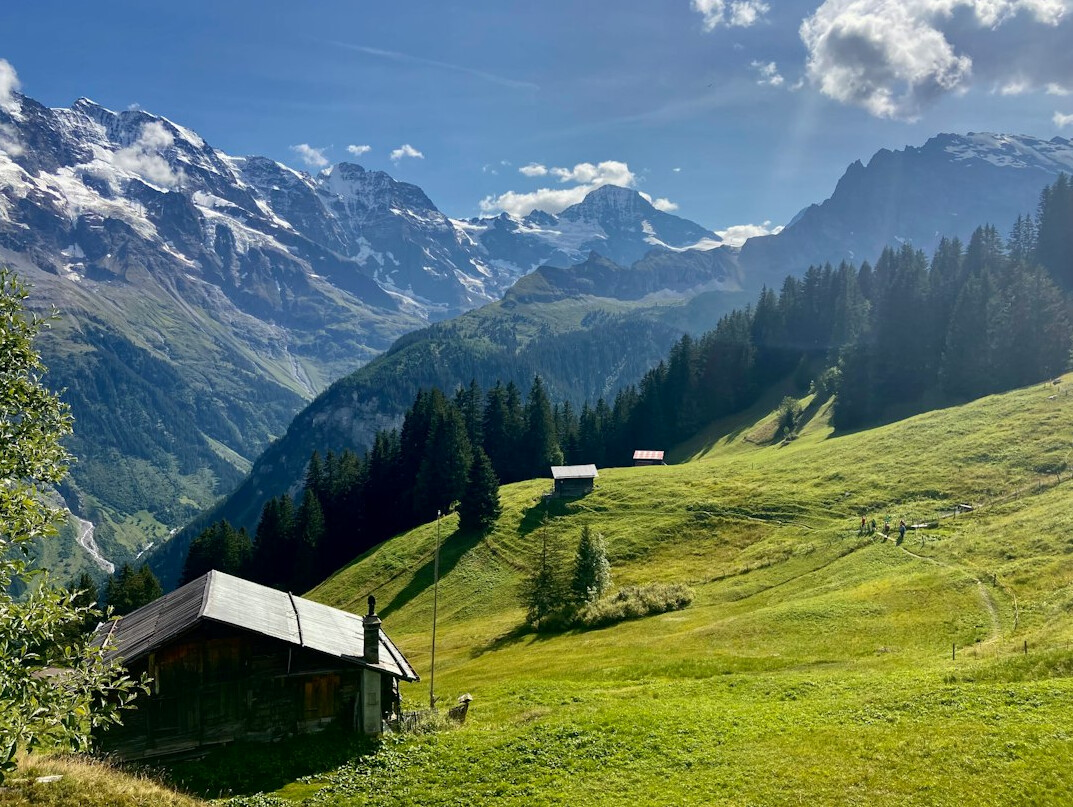 swiss mountains green landscape