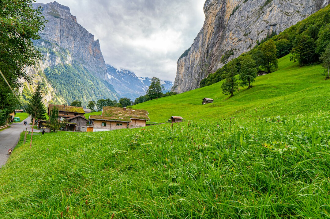 swiss alps green landscape