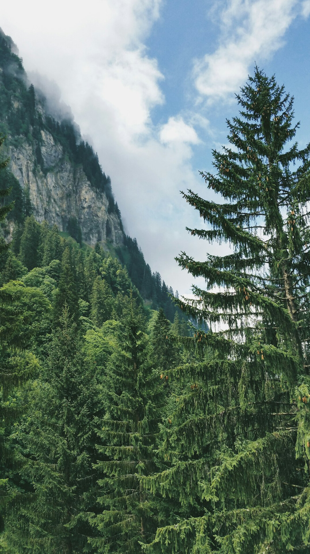 swiss green files eco