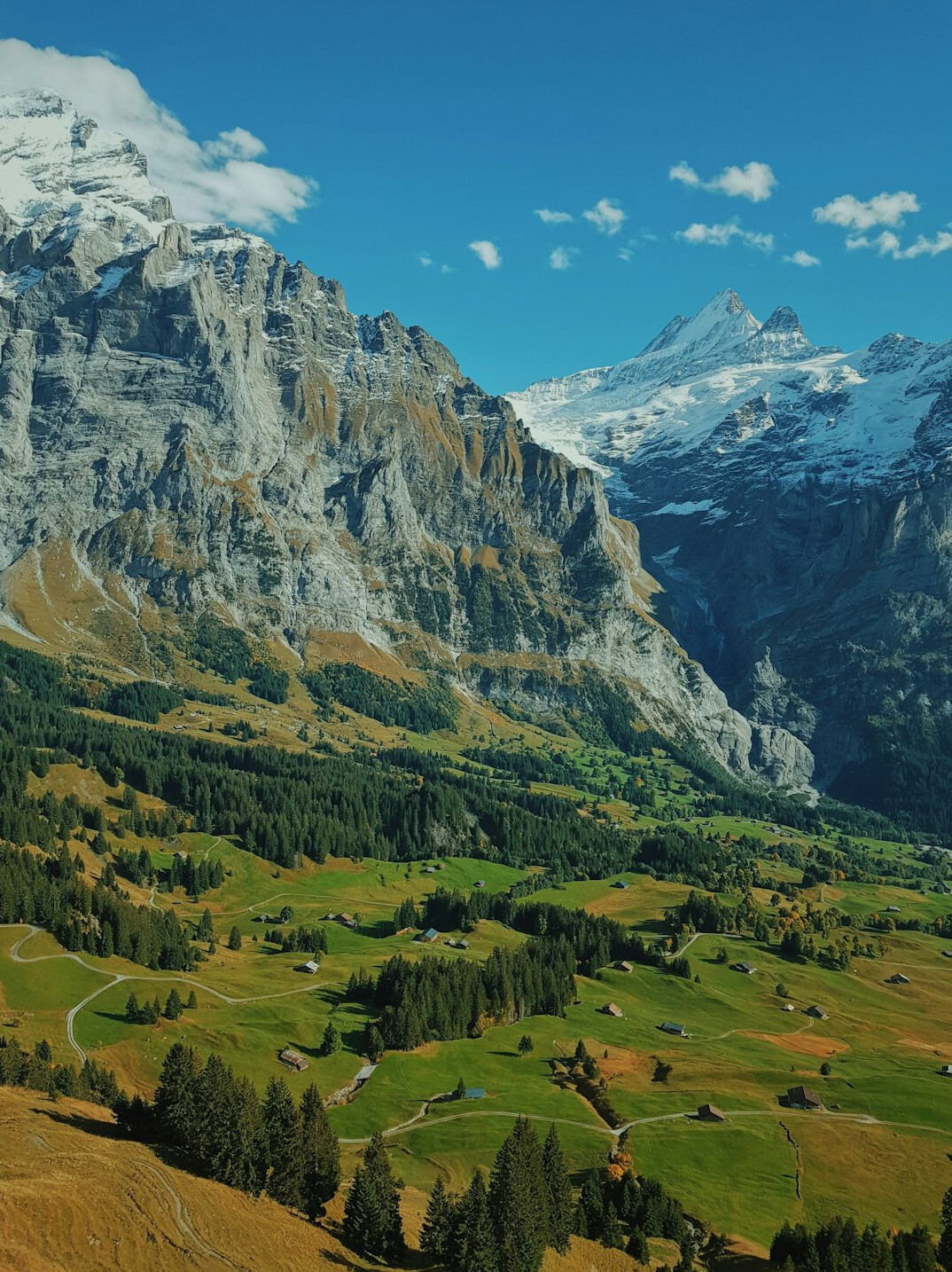 swiss green landscape