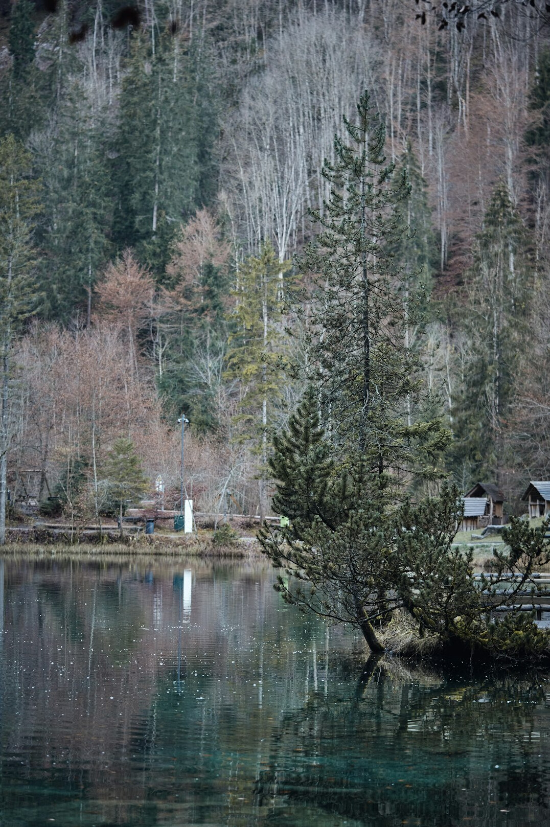 swiss nature landscape